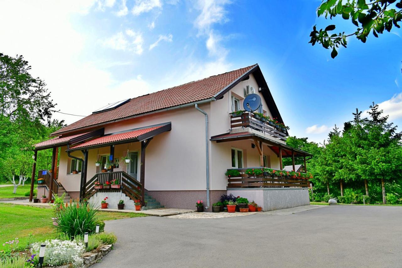 Apartment Andreja Selište Drežničko Zewnętrze zdjęcie