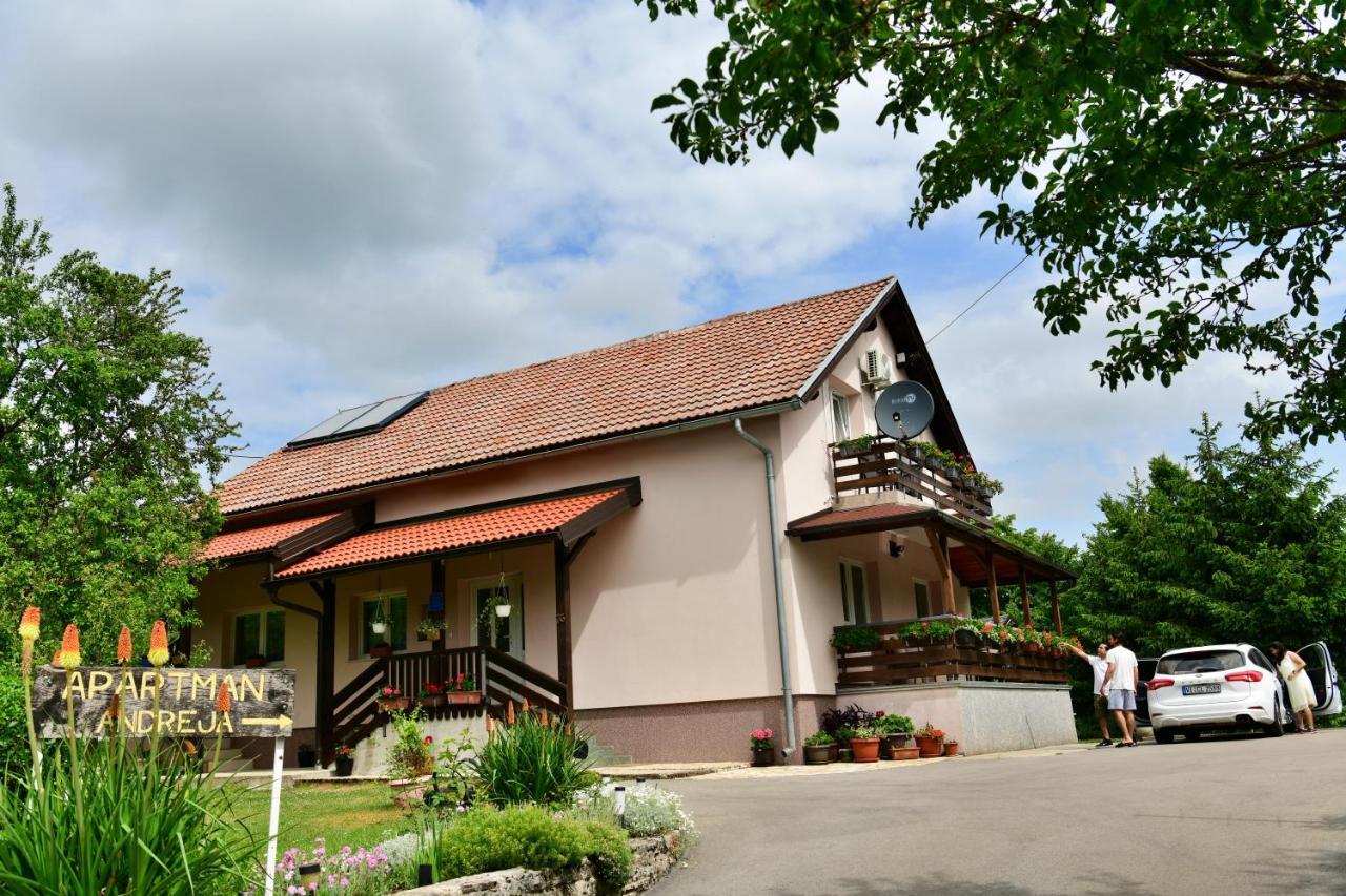 Apartment Andreja Selište Drežničko Zewnętrze zdjęcie