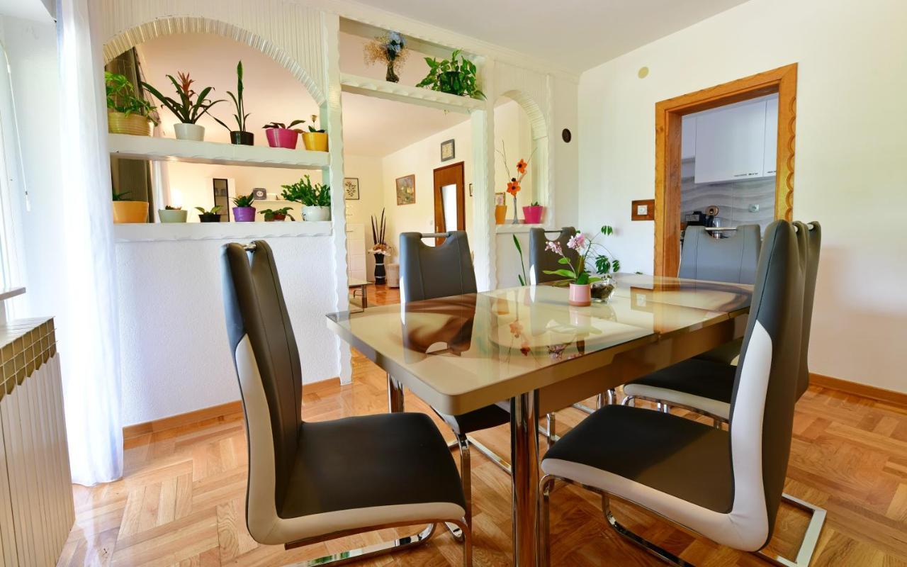 Apartment Andreja Selište Drežničko Zewnętrze zdjęcie