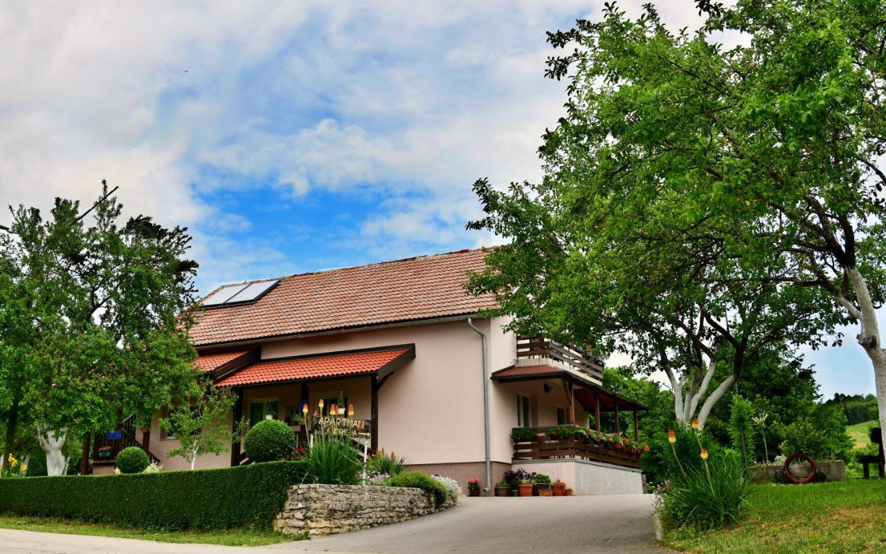 Apartment Andreja Selište Drežničko Zewnętrze zdjęcie